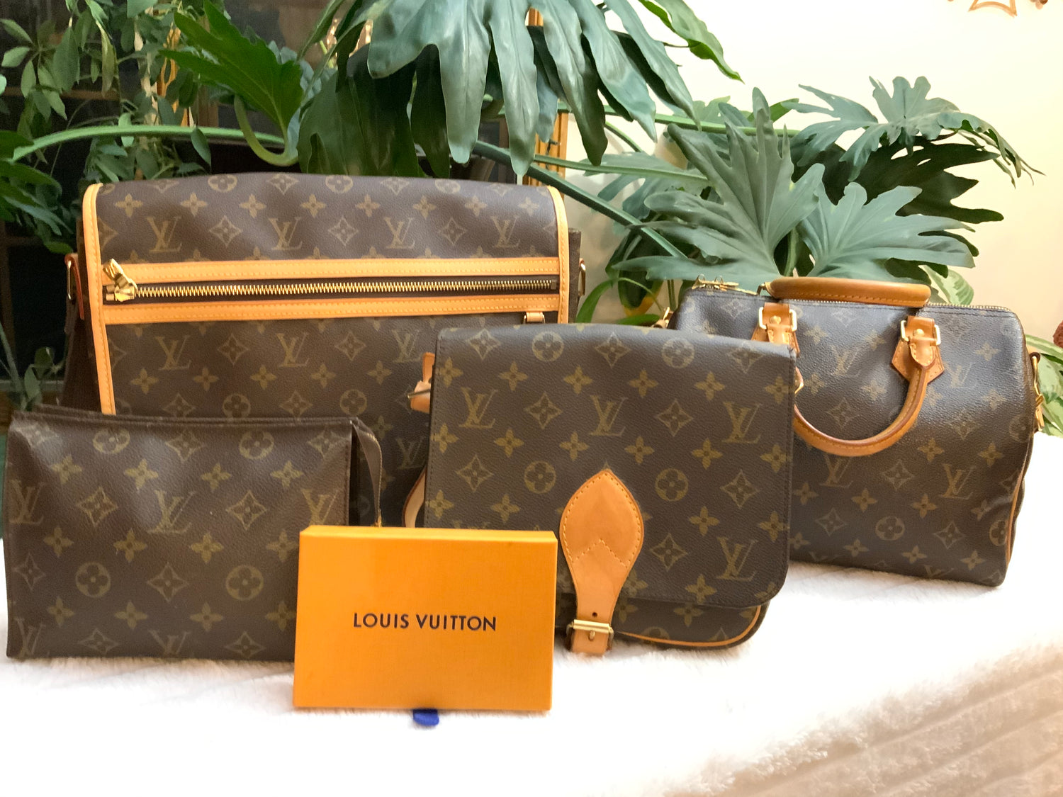 Louis Vuitton Brand